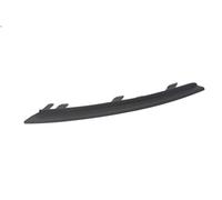 BLIC 5703-05-5025922Q Bumper moulding