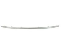 BLIC 5513-00-1602920P Bumper moulding