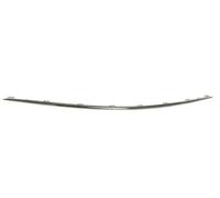 BLIC 5703-05-3519971P Bumper moulding