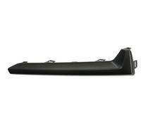 BLIC 6502-07-6738921P Bumper moulding