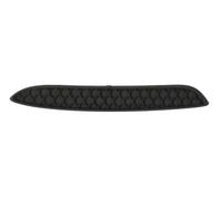 Bumper trim strip Left Front black 5703-05-3556971P BLIC
