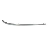 Front Left Bumper Trim Strip For: MERCEDES B-CLASS W245 03.05-02.08