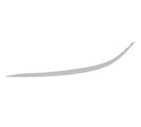Bumper trim strip Left Front chrome 5703-05-3528925P BLIC for MERCEDES-BENZ