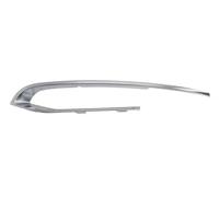 BLIC 6502-07-0067921PF Bumper moulding