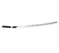 BLIC 6502-07-9547911P Bumper moulding