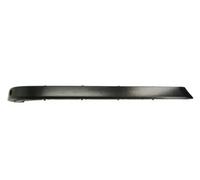 Bumper trim strip Left Rear 5703-05-0075973P BLIC for BMW 7
