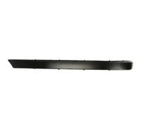 Bumper trim strip Left Rear 5703-05-0075975P BLIC for BMW 7