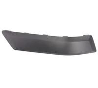 Bumper trim strip Left Rear grey 5703-05-2576975P BLIC for FORD FUSION