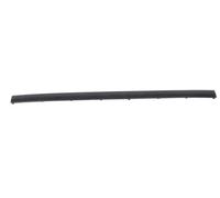 BLIC 5513-00-0060970P Bumper moulding