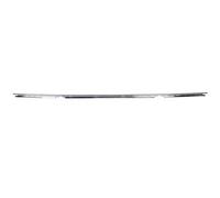 BLIC 5703-05-0065970P Bumper moulding