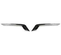 BLIC 6502-07-6013970P Bumper moulding
