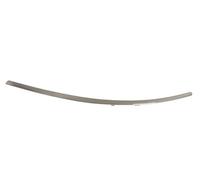 Bumper Trim Strip Rear Right For: MERCEDES A-CLASS W169 04/09-06/1