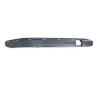 BLIC 6502-07-3515934P Bumper moulding