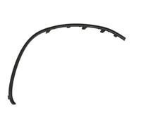 Bumper trim strip Right Front Glossy 6502-07-3556922P BLIC