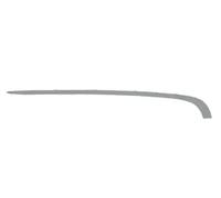 BLIC 5703-05-0075972P Bumper moulding