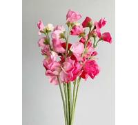 Bunch of Artificial Light Pink & Hot Pink Sweet Pea Flowers, Realistic Pink Silk Flowers, Pink Sweetpeas, Artificial Pink Sweet Pea Stems, Meadow Spring Flower Stem, Faux Sweet Pea Flower Stem