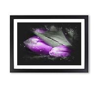 Bunch of Purple Tulips Paint Splash Framed Print | A2 Black Framed Wall Art | Ready to Hang | Modern Nature Picture | Living Room Bedroom Lounge Office