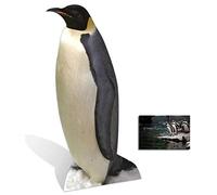 BundleZ-4-FanZ Fan Packs by Starstills Penguin - Wildlife/Animal Cardboard 2D Standup/Cutout Plus 20x25cm Photo