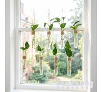 Bunmery 8 pcs Window Propagation Stations, Plastic Plant Propagation Tubes with Suction Cups & Traceless Nails, Easy to Install Window Wall Hanging Planter Terrarium Vase