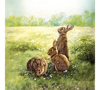 Bunnies in a Field Happy Easter Card - Beautiful Illustrated Greeting Card, Green