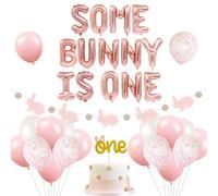 Bunny 1st Birthday Party Decorations Supplies Some Bunny is One Balloons Garland for Easter Rabbit Girls First Birthday Party Supplies