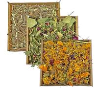 Bunny Bistro Foraging Trays 3pk | 100% Natural Dried Forage for Rabbits, Guinea Pigs & Small Animals, Flowers, Leaves, Dandelion Root, High Fibre