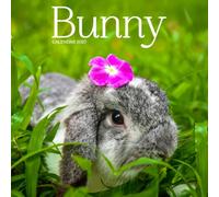 Bunny Calendar 2027: Rabbits and Gentle Moments