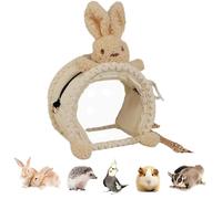 Bunny Carrier, Clear Window Backpack Cage, Squirrel Take-out Bag, for Travel Pet Bunny Bearded Dragon Sugar Glider Bird Hedgehog Kitten Ferret Hamster