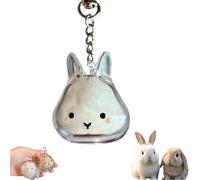 Bunny Fur Keepsake Keychain Clear Pet Hair Storage Container, A Cute Rabbit Memorial Bottle Locket, Dog Hair Keeper Capsule Pendant for Cherished Memories and Pet Dog Hair Storage(#A,1pc)