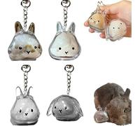 Bunny Fur Keepsake,Transparent Rabbit Shape Keychain,Pet Hair Memory Charm Locket,Capsule Pendant Storage Bottle (4)