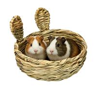 Bunny Grass Bed Grass Nesting Chewing Mat Pad
