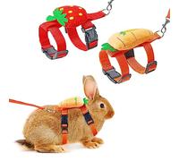 Bunny Harness and Leash for Rabbits,2 Pack Adjustable Bunny Harness,Cute Vest Harness and Leash Set, for Rabbit,Kitten, Puppy, Pig and Small Pet Animals (Carrot, Strawberry)
