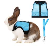 Bunny Harness and Leash Set, Adjustable Breathable Mesh Rabbit Vest with Double Buckles, Escape Proof Walking Training for Kittens, Rabbits, Ferrets, Guinea Pigs, Small Pets, Light Blue, Size L