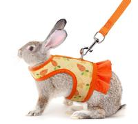 Bunny Harness and Leash Set, Rabbit Vest Hamster Leash Cute Floral Mesh Eescape Proof Walking Training for Small Animal Pets Bunnies Squirrel Ferret,Orange L