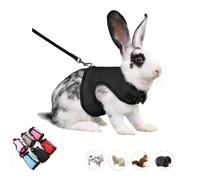 Bunny Harness Escape Proof,Rabbit Leash Set Vest Mesh Walking Training for Small Animal Pets Rat Ferret Squirrel Chinchillas Guinea Pig Bunnies, Black XL