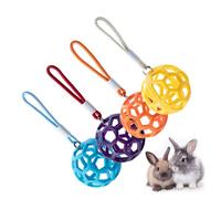 Bunny Hay Feeding - Portable Hay Ball | Grass Hay Feeding Ball 4 Pieces - Small Animals Grass Booth Dispenser, Chew Toy with Lanyard for Small Pets and Cage Accessories