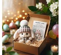Bunny Hugs in Box, Mini Cute Bunnies, Handmade Plush Pocket Hug Rabbit Doll, Emotional Support Positive Crochet Bunny, Suitable for Valentine's Day, Easter, Birthdays (Grey)