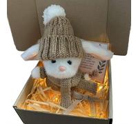 Bunny Hugs in Box, Mini Plush Bunny with Knit Outfit and LED Light, Easter Birthday Gift for Friends Family and Baby Shower Keepsake (Khaki)