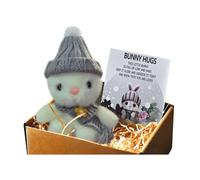 Bunny In A Tin, Easter Gifts, Mini Bunny Hug In Box, Emotional Support Positive Crochet Bunnys With Inspirational Card, Handmade Plush Pocket Hug Rabbit Doll For Kids Family Friend