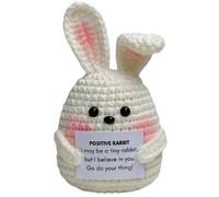 Bunny Positive Rabbit Crochet Plush, Inspirational Message, Motivational Desk Decor, Gift for Daughter Son Niece Nephew Granddaughter Grandson Little Sister Brother Funny Cheer Up Bunny Decor