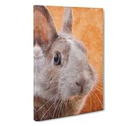 Bunny Rabbit In Colour Canvas Print | Gallery Wrapped 30mm Frame Wall Art | 30x20 inches | Ready to Hang | Modern Animals Picture | Living Room Bedroom Lounge Office