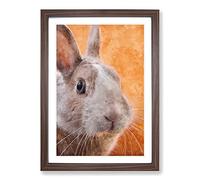 Bunny Rabbit in Colour Painting Framed Print | A2 Walnut Framed Wall Art | Ready to Hang | Modern Animal Picture | Living Room Bedroom Lounge Office