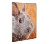 Bunny Rabbit In Colour Painting Modern Canvas Wall Art Print Ready to Hang, Framed Picture for Living Room Bedroom Home Office Décor, 30x20 Inch (76x50 cm)