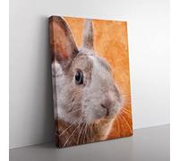 Bunny Rabbit In Colour Painting Modern Canvas Wall Art Print Ready to Hang, Framed Picture for Living Room Bedroom Home Office Décor, 60x40 cm (24x16 Inch)