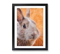 Bunny Rabbit In Colour Painting Modern Framed Wall Art Print, Ready to Hang Picture for Living Room Bedroom Home Office Décor, Black A3 (34 x 46 cm)