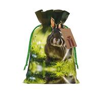 Bunny Rabbits Print Reusable Gift Bags,Drawstring Gift Bags For Jewelry And Gifts,For Festive Occasions