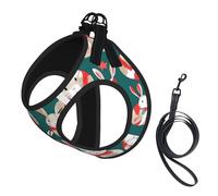 Bunny Rabbits Print Small Dog Harness with Leash Set, No Escape Easy Walk Puppy Harnesses for Training Walking