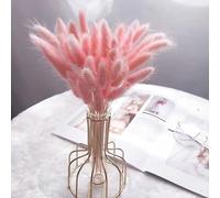 Bunny Tails Dried Flowers Pampas Grass Home Decor Dried Flowers for Cakes Vases, Rabbit Tails Dried Grasses Bouquet 50Pcs Pink Dried Flowers Table Decoration Room