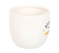 Bunny Treats Ceramic Pot Something Different White One Size