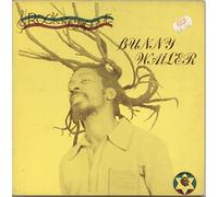 Bunny Wailer - Rock 'N' Groove